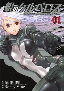 Kerberos in the Silver Rain
