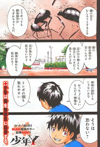 Shounen Y