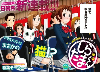 Shiratama-kun